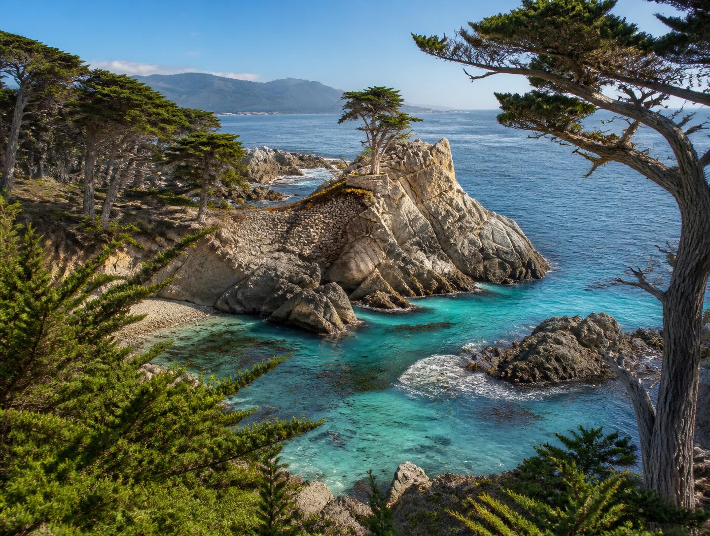 Turquoise cove and cypress at Point Lobos